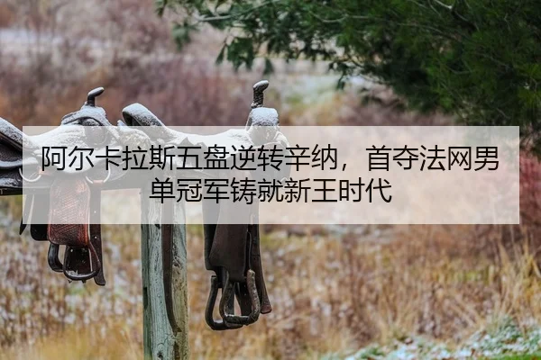 阿尔卡拉斯五盘逆转辛纳，首夺法网男单冠军铸就新王时代