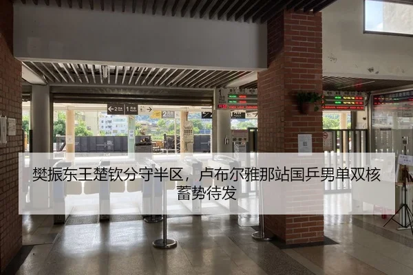 樊振东王楚钦分守半区，卢布尔雅那站国乒男单双核蓄势待发