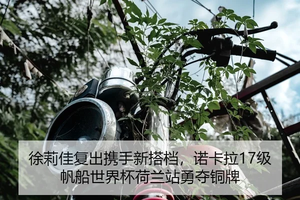 xu-li-jia-fu-chu-xie-shou-xin-da-dang-nuo-ka-la-ji-fan-chuan-shi-jie-bei-he-lan-zhan-yong-duo-tong-pai-2-182.jpg
